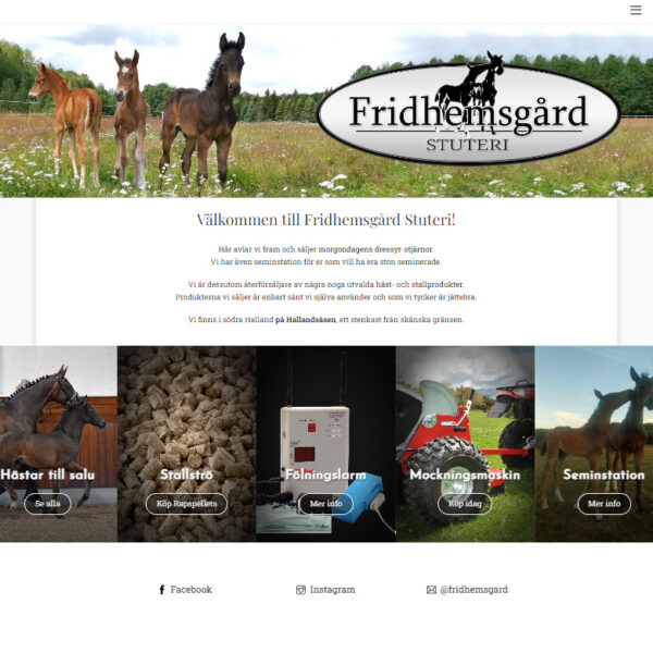 fridhemsgard-780